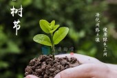 电脑怎么用绿色上网的软件？绿色上网软件的安装和使用方法是什么？