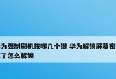 如何强制解开电脑密码设置（突破电脑密码保护）