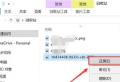 相册回收站清空后如何恢复照片（详解相册回收站清空后恢复照片的方法及技巧）