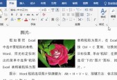 文档不能复制粘贴怎么办？如何解决文档保护问题？
