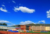 全国职业院校排名前十，揭秘职业教育之精英（全国职业院校排名前十名单发布）