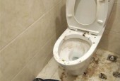 解决坐式马桶堵塞问题的方法（快速解决马桶堵塞的有效措施）