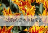 深入了解笔记本电脑配置（掌握笔记本电脑配置知识）
