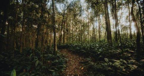 如何通过路由器给别人限速（简单设置路由器限速）  第3张