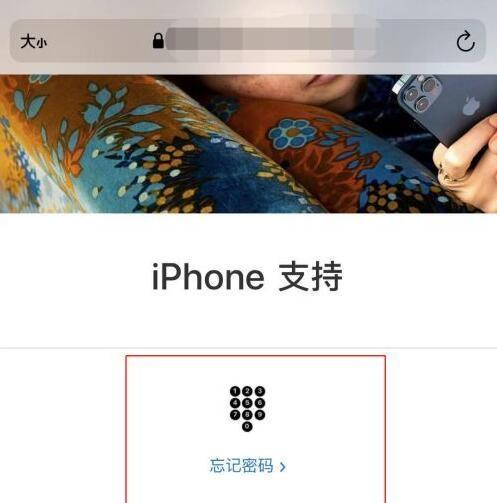 苹果手机被锁了已停用（如何解除苹果手机停用状态）  第3张