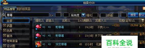 《DNF装备喂养攻略》（详细介绍如何正确喂养DNF装备）  第3张