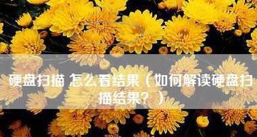 电脑常见问题与故障的全面盘点（解决电脑问题）  第1张