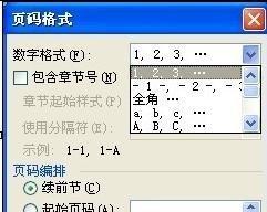 如何自动生成连续页码？常见问题有哪些？  第3张