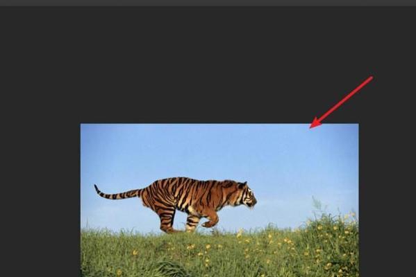 关于ps的基础知识内容？如何快速掌握Photoshop基本操作？  第1张