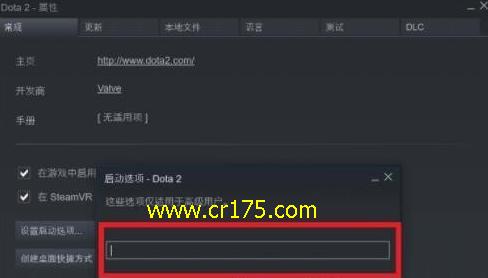 如何使用dota国服启动项指令？遇到问题怎么办？  第1张