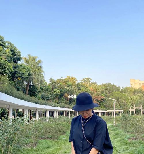 手机怎么用美拍拍照？拍照时有哪些技巧可以提高照片质量？  第1张