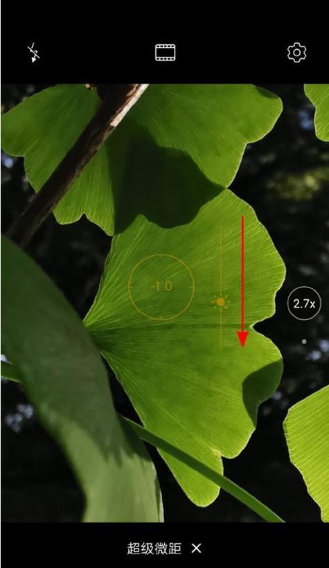 手机拍照画面为何无参数显示？可能的原因是什么？  第2张