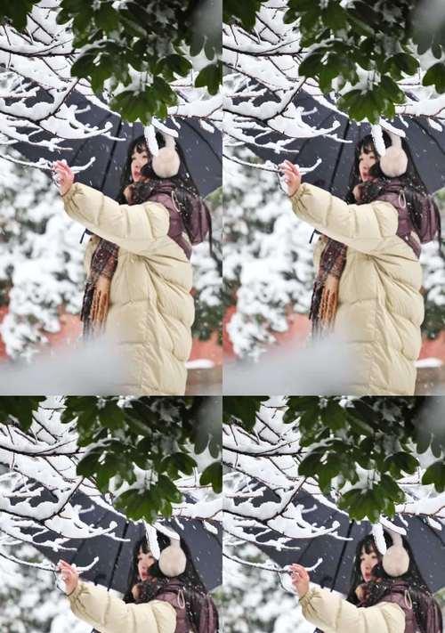 苹果手机如何拍出雪花效果？拍照技巧有哪些？  第3张