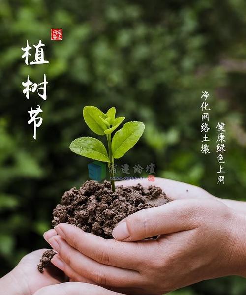 电脑怎么用绿色上网的软件？绿色上网软件的安装和使用方法是什么？  第1张