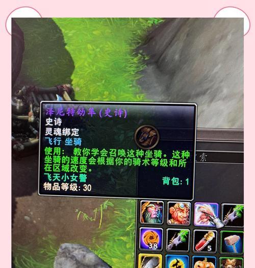 魔兽世界飞行技能如何激活？飞行操作的具体步骤是什么？  第3张