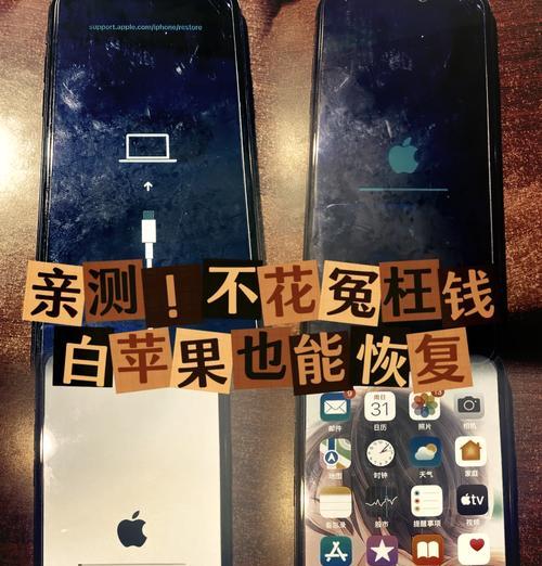 手机出现白苹果时如何导出数据？有哪些方法？  第2张