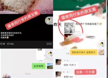 洛克王国骨王净化方法是什么？  第3张