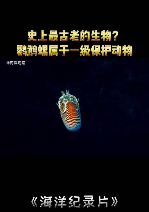 海洋魔兽账号激活教程有哪些步骤？  第3张