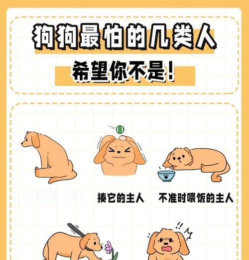 小狗为什么会害怕电视机？如何帮助它克服恐惧？  第1张